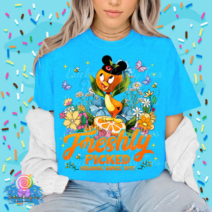 Freshly Picked - Kids & Adult Apparel