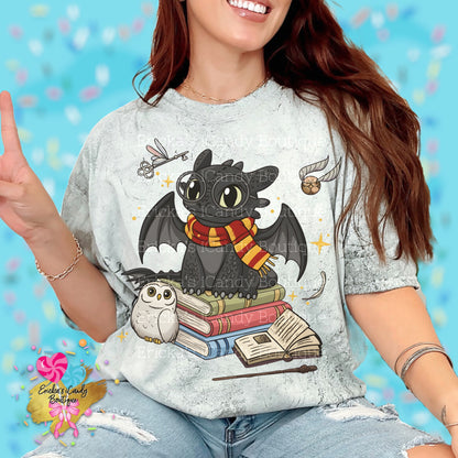 Dragon Wizard MashUp - Kids & Adult Apparel