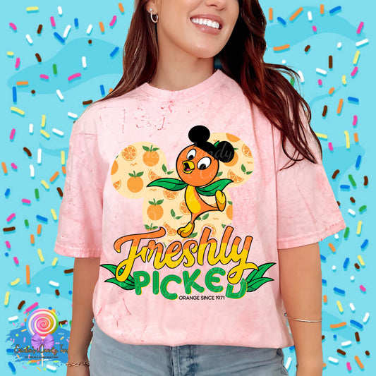 Freshly Picked Since 1971 - Kids & Adult Apparel