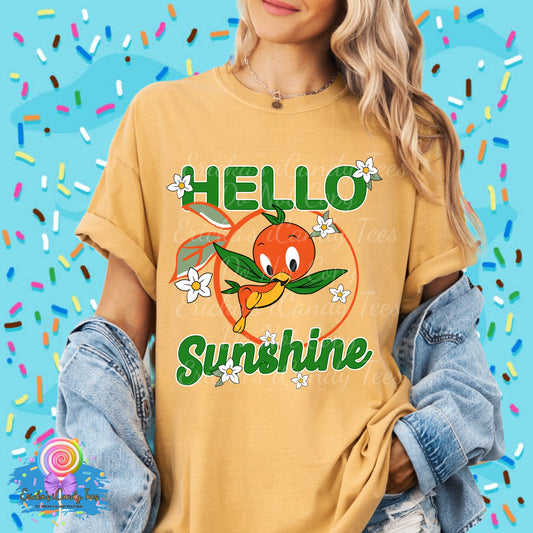 Hello Sunshine - Kids & Adult Apparel